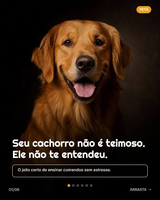 Template Pets da Carrosseia